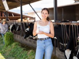 Milk Booster for Cows: A Smart Nutritional Solution for Higher Milk Yield and Healthier Dairy Animals